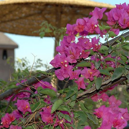Riad Mehdia Marakeş Dış mekan fotoğraf