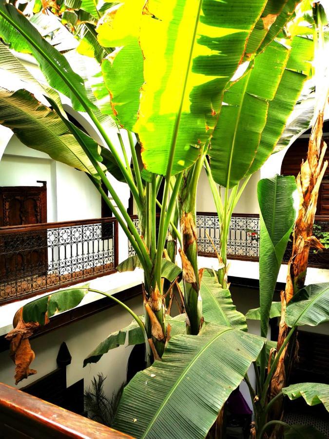 Riad Mehdia Marakeş Dış mekan fotoğraf