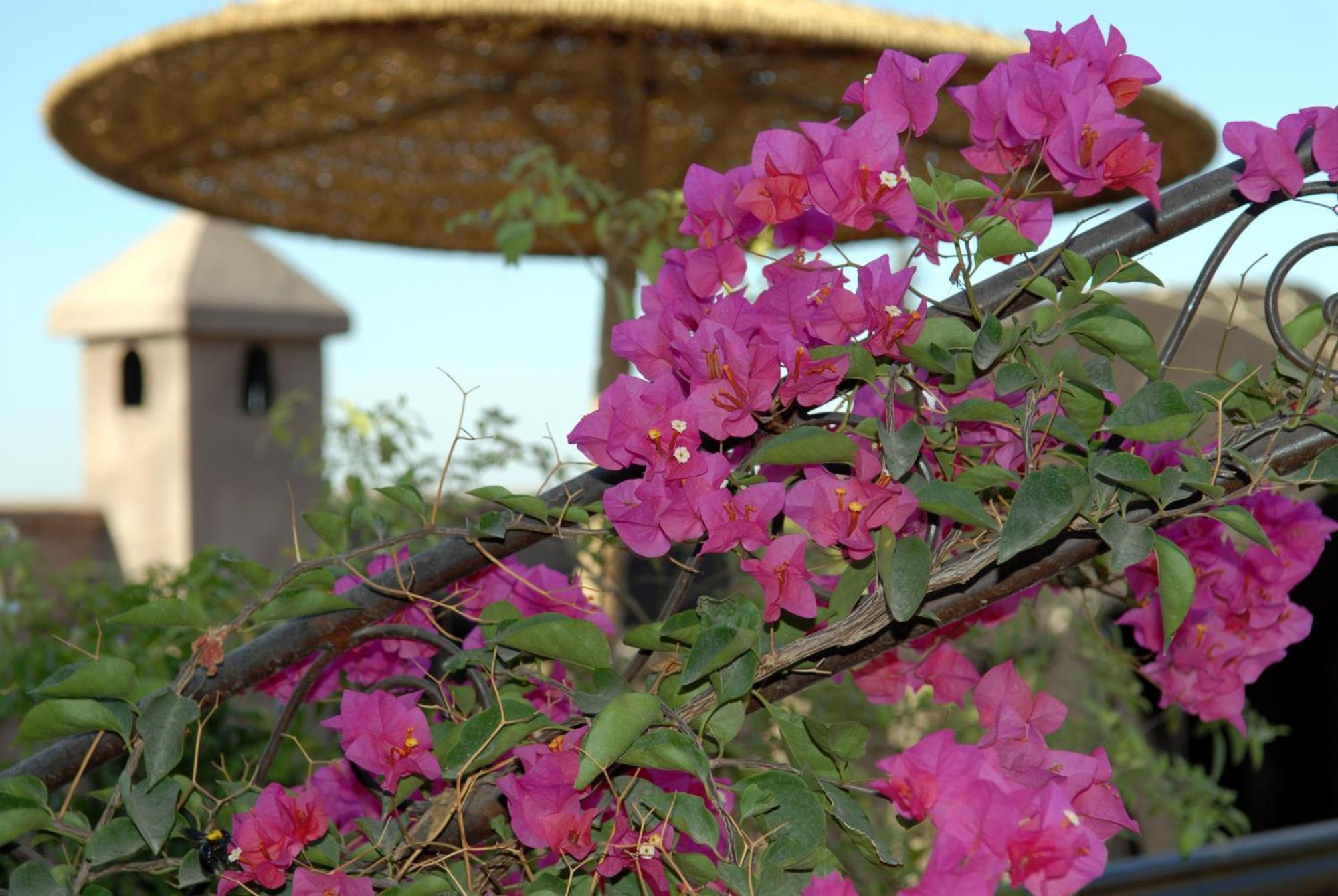 Riad Mehdia Marakeş Dış mekan fotoğraf