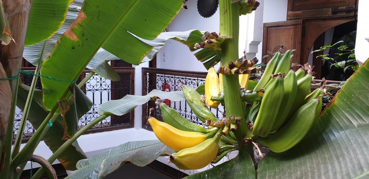 Riad Mehdia Marakeş Dış mekan fotoğraf
